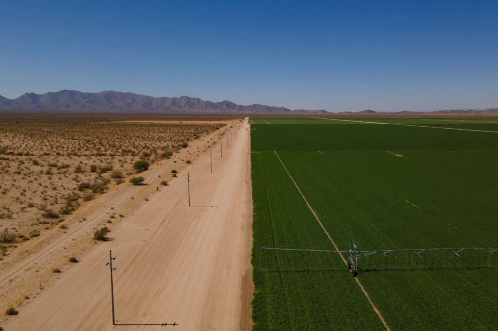 An irrigation system waters an alfalfa field in Butler Valley, Arizona, on June 27, 2023. Credit: Caitlin O'Hara/The Washington Post via Getty Images